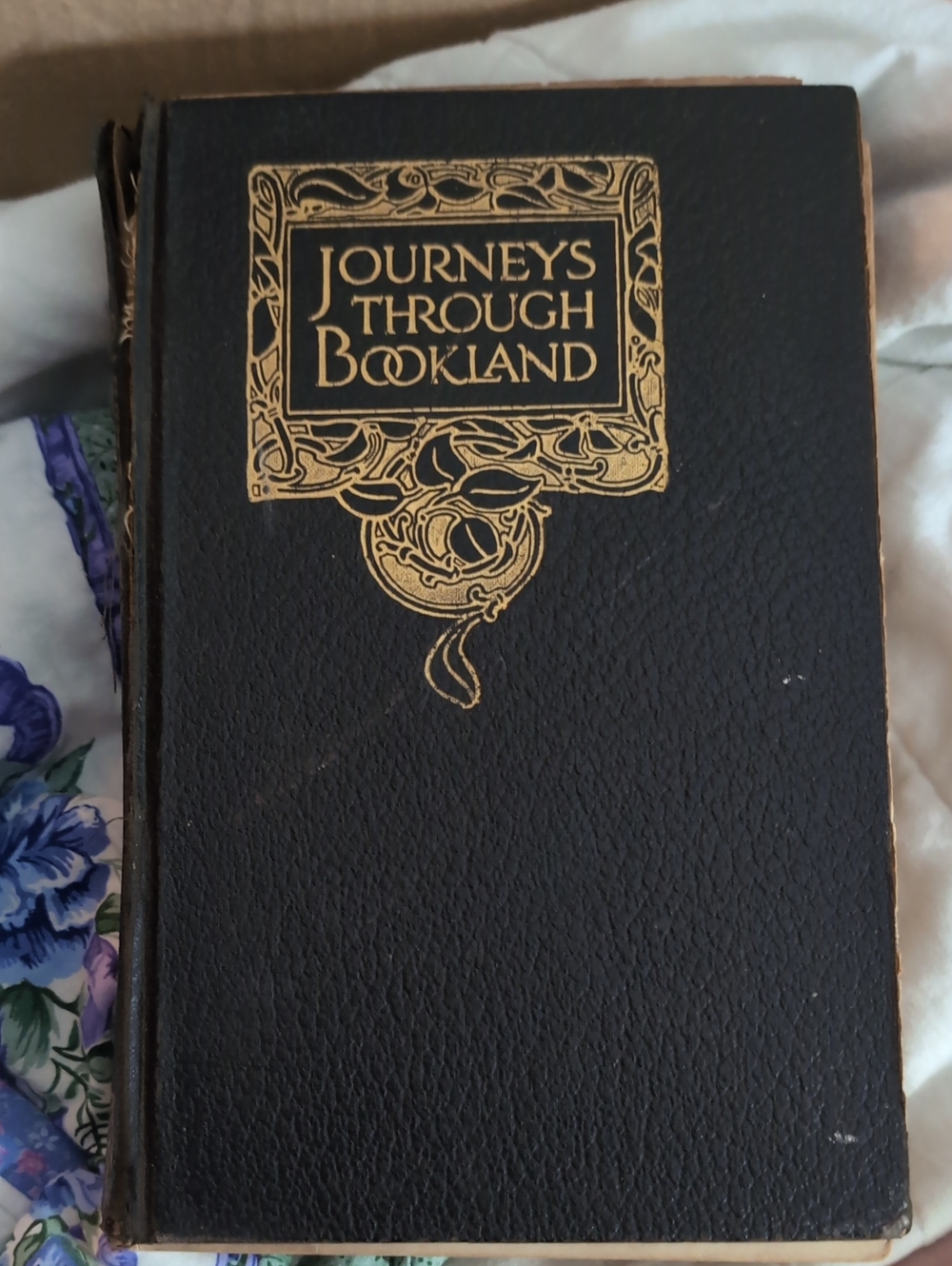Journeys Through Bookland Decorative Black Hardcover Book Volume 1